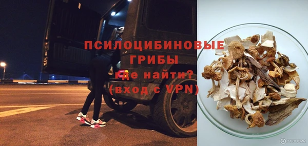 амф Алексин