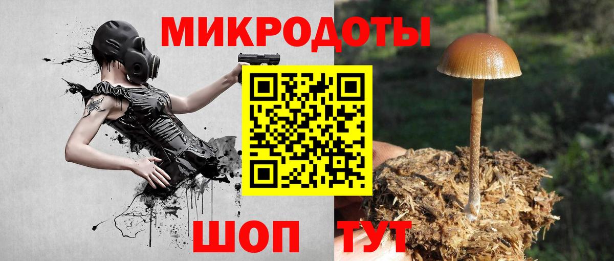 Похвистнево  Псилоцибиновые грибы мицелий  Вход с VPN  Псилоцибиновые грибы Cubensis 
