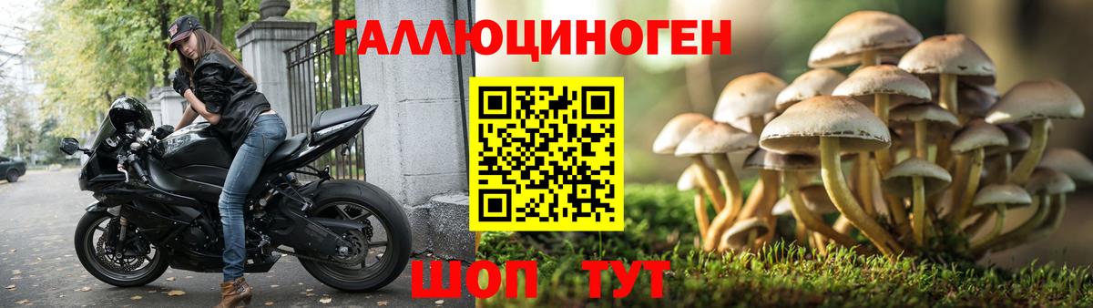 Галлюциногенные грибы мухоморы Похвистнево